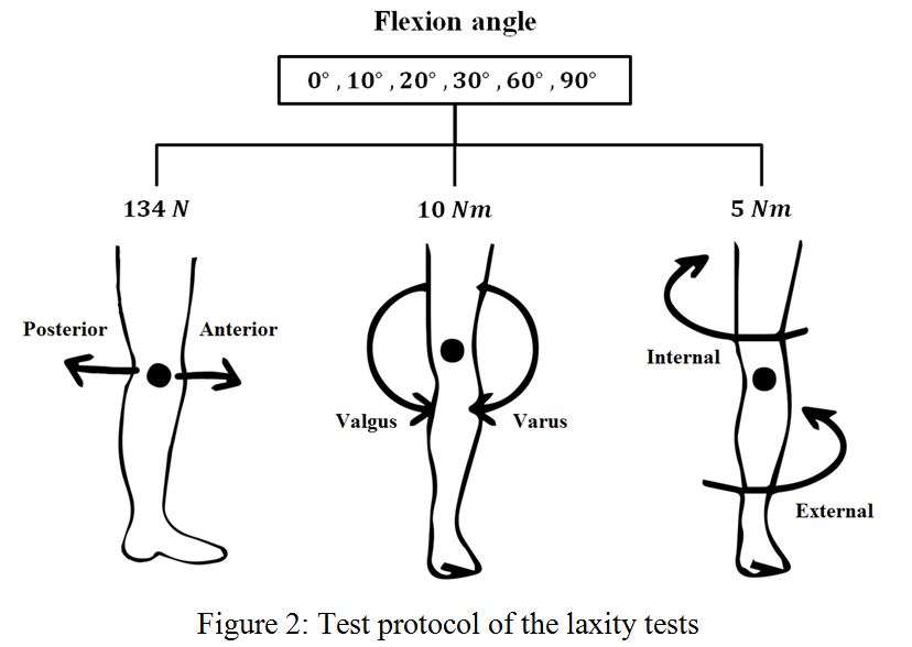 Pin by Stela Anton on PhySioTheRaPy  Physical therapy exercises, Knee  exercises, Knee pain exercises